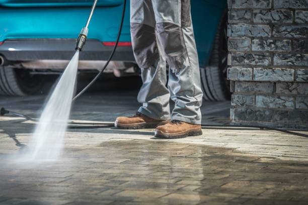 Best Dumpster Area Cleaning  in East Patchogue, NY